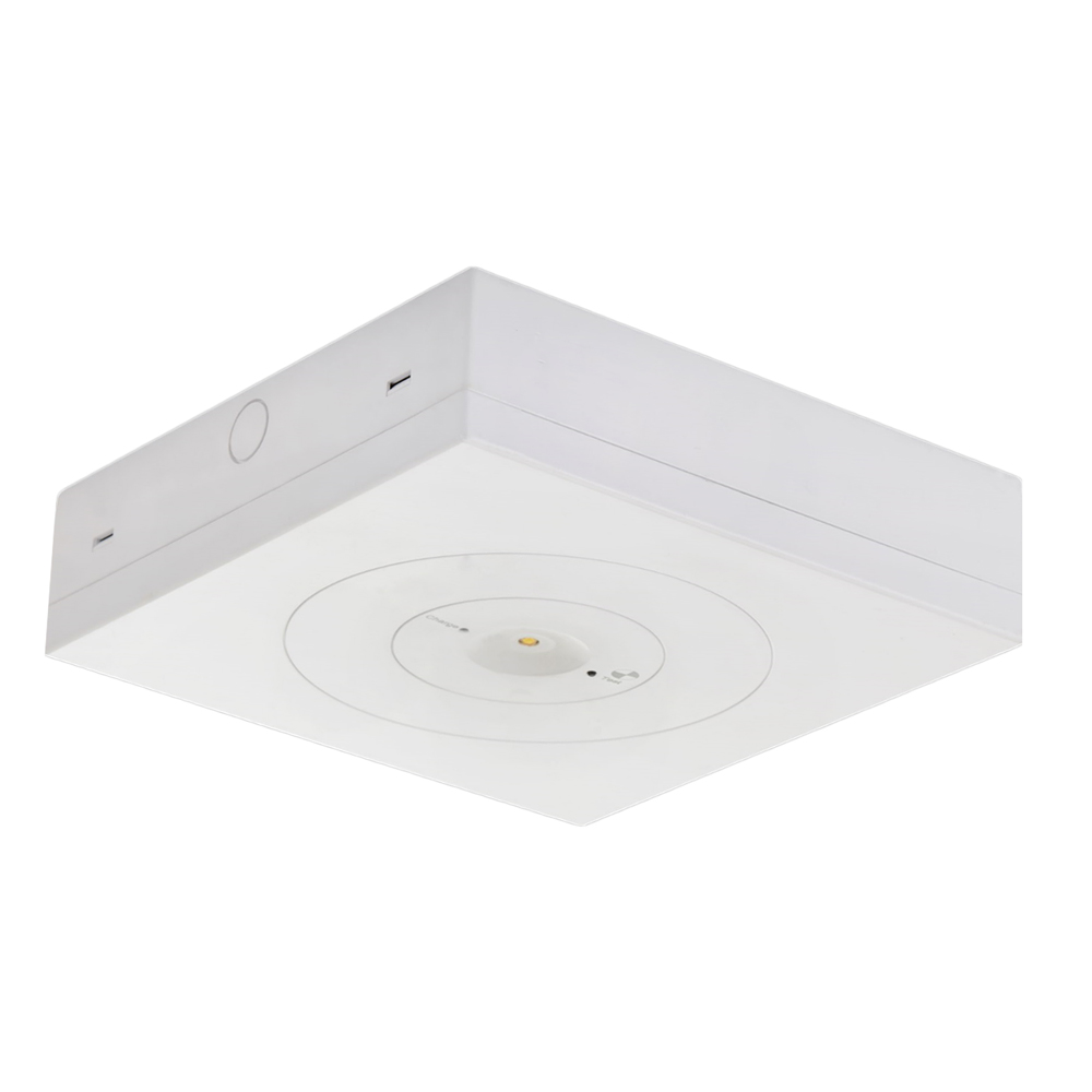 3W White LED Emergency Surface Mount Light