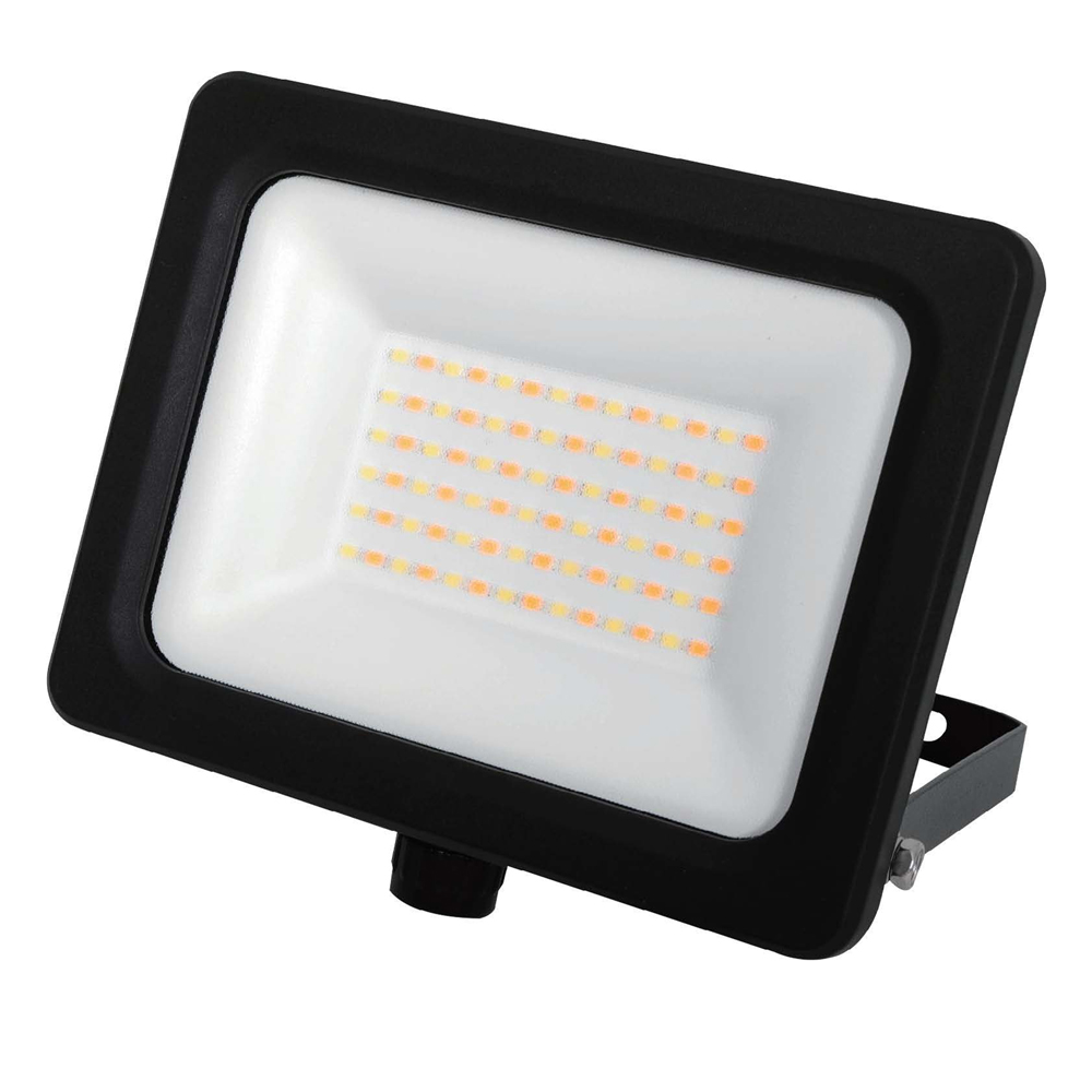 30W/40W/50W Tri Wattage, Tri Color SMD LED Floodlight